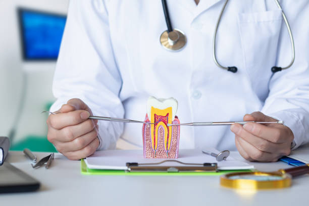 Best Emergency Orthodontic Repairs in Simsbury Center, CT